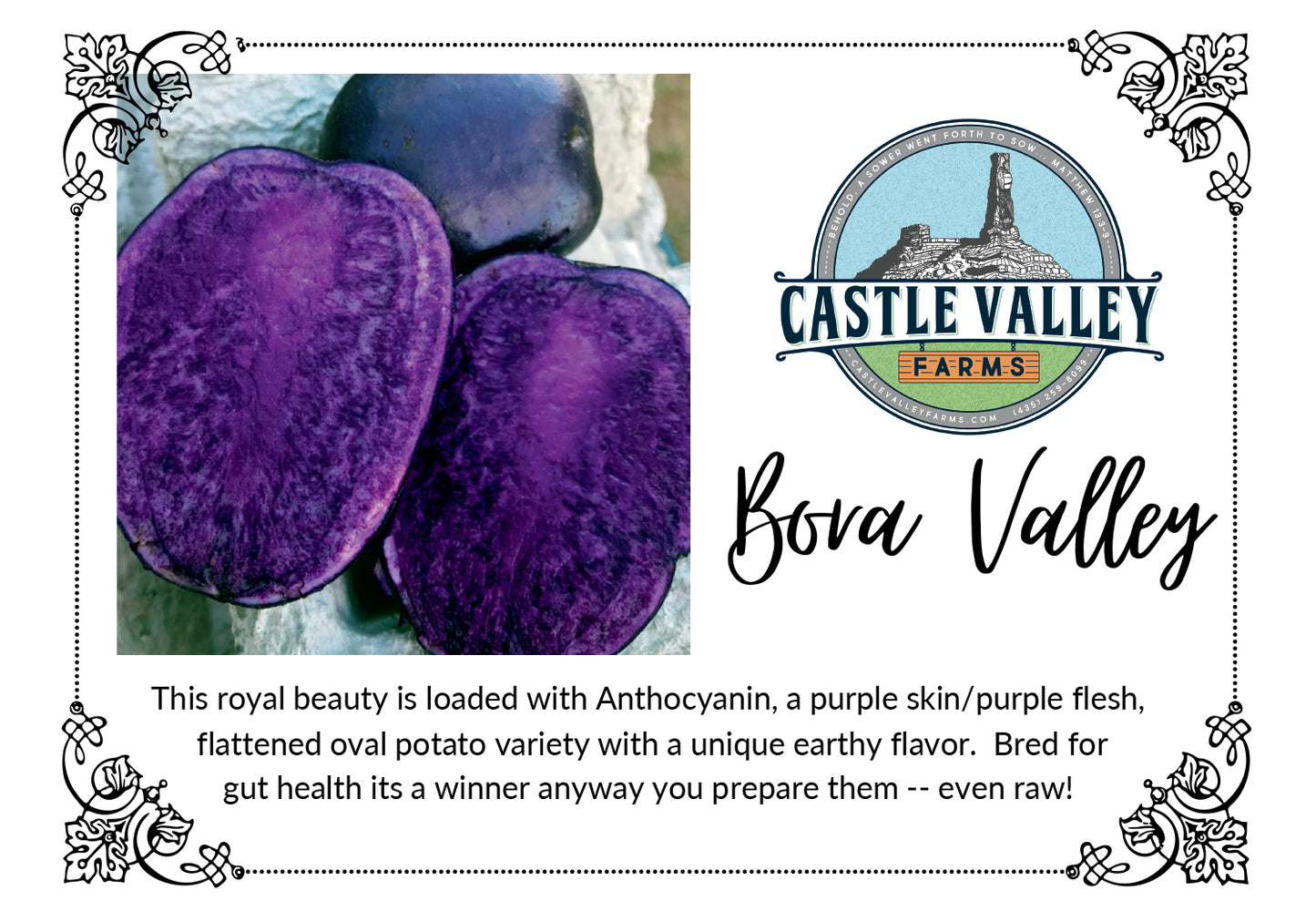 Bora Valley Seed Potatoes - Naturally grown, Generation 4