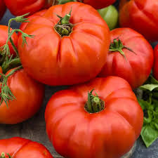 Beefstake Tomatoes